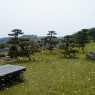 TOKYO REIEN CEMETERY MEMORIAL HALL